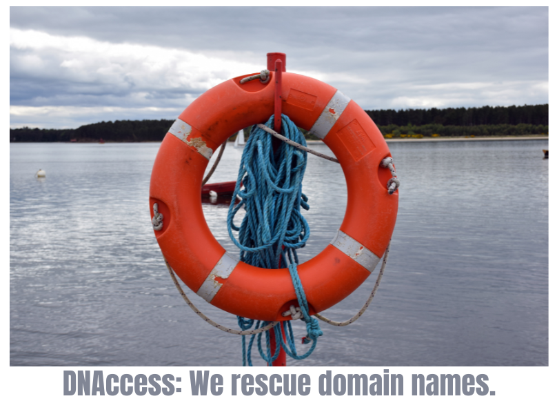 DNAcess rescues domain names: life preserver